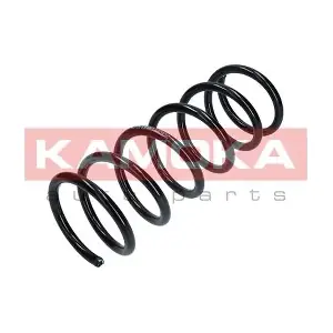 2120309 KAMOKA