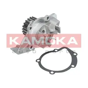 T0086 KAMOKA