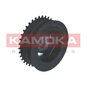 RW071 KAMOKA