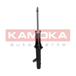 2000715 KAMOKA