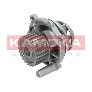 KAMOKA T0028