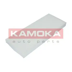 KAMOKA F409301