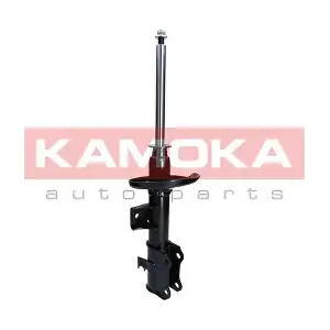 2000289 KAMOKA