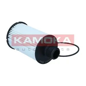 KAMOKA F123901