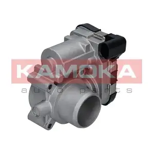 KAMOKA 112021