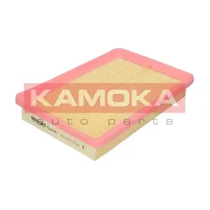 KAMOKA F226401