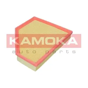 F255301 KAMOKA