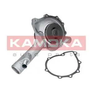 KAMOKA T0187