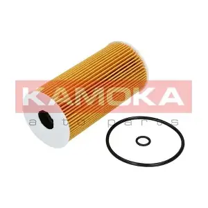 F111201 KAMOKA