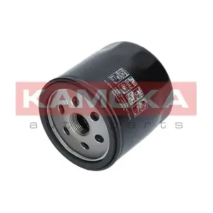 KAMOKA F113401