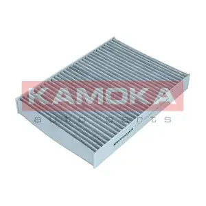 KAMOKA F519701