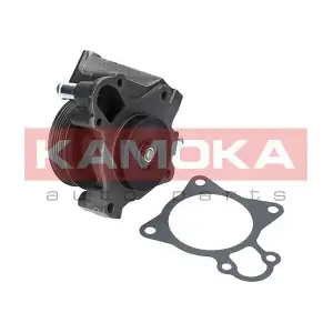 T0097 KAMOKA