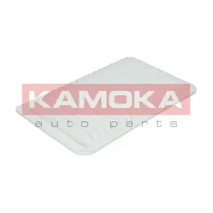 KAMOKA F211801