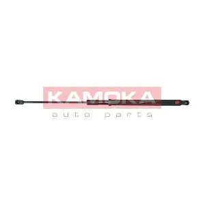 7091077 KAMOKA