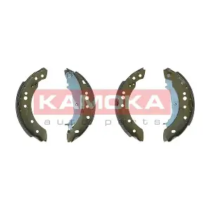 JQ202078 KAMOKA
