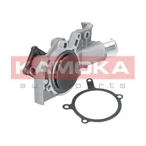 T0139 KAMOKA