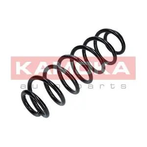 2120222 KAMOKA