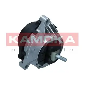 890953 KAMOKA