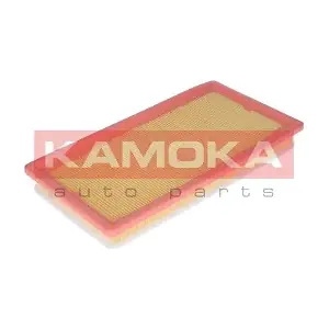 KAMOKA F217601