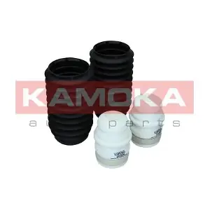 2019098 KAMOKA