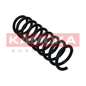 2120472 KAMOKA