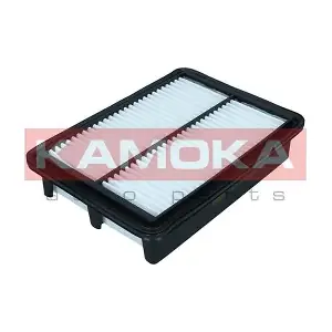 F257101 KAMOKA