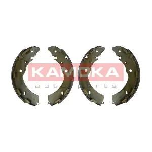JQ202071 KAMOKA