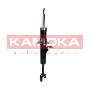 2000650 KAMOKA