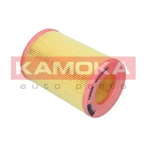 KAMOKA F254001