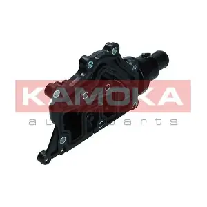 7710209 KAMOKA