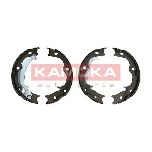 KAMOKA JQ212056