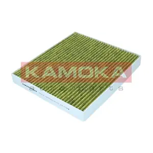 6080138 KAMOKA