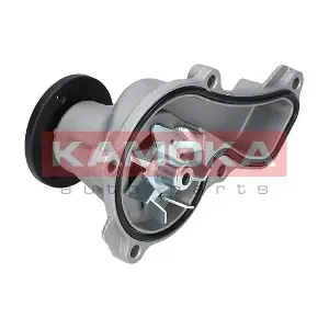 T0151 KAMOKA