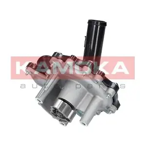 KAMOKA T0096