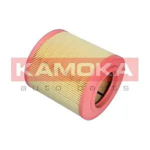 F239501 KAMOKA