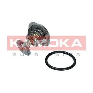 7710147 KAMOKA