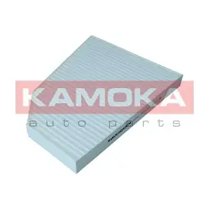 KAMOKA F422401