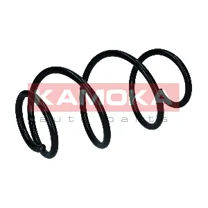 2110587 KAMOKA