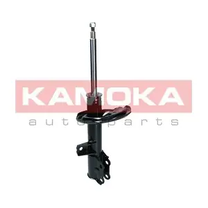 2000491 KAMOKA