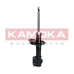 2000131 KAMOKA