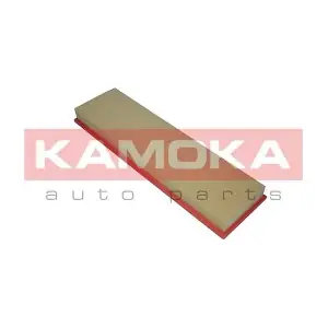 KAMOKA F211001
