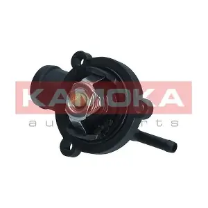 7710266 KAMOKA