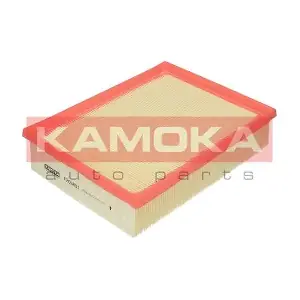 KAMOKA F205601