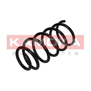 2120261 KAMOKA