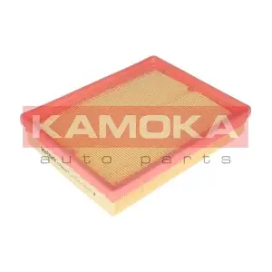 F226801 KAMOKA
