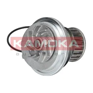 KAMOKA T0228
