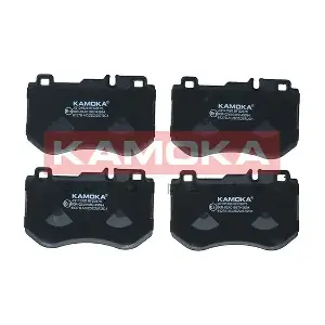 JQ101526 KAMOKA