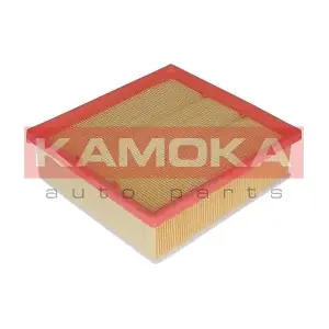 KAMOKA F222101