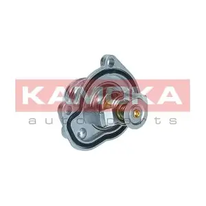 7710174 KAMOKA