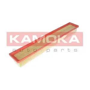 F220101 KAMOKA